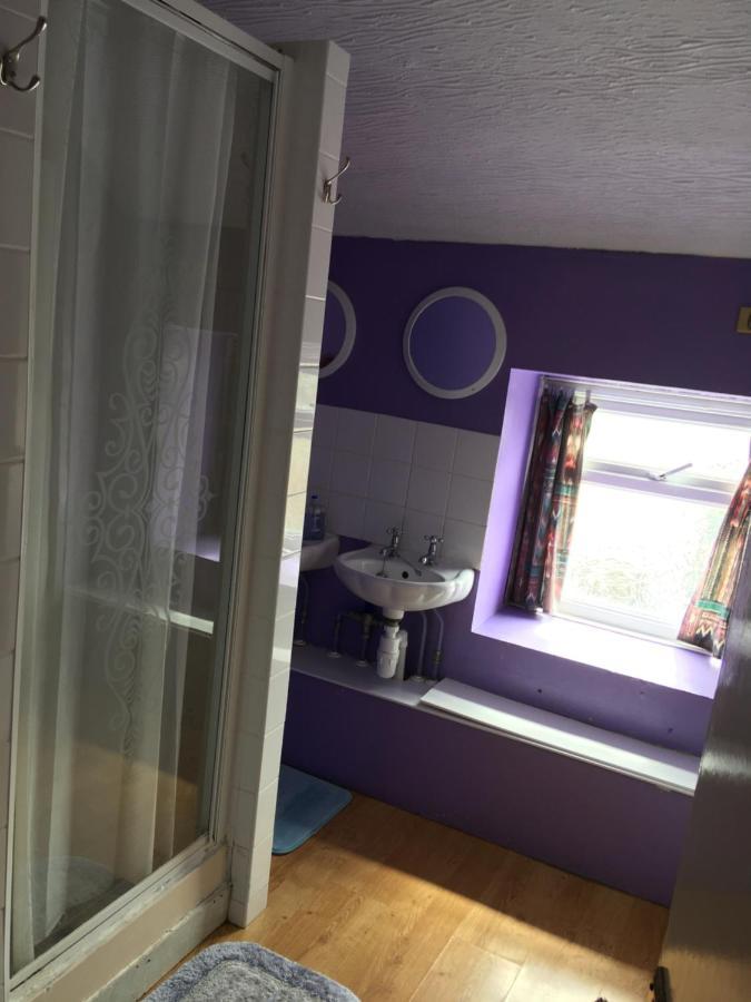 קארמרת'ן Pantyrathro International Hostel מראה חיצוני תמונה